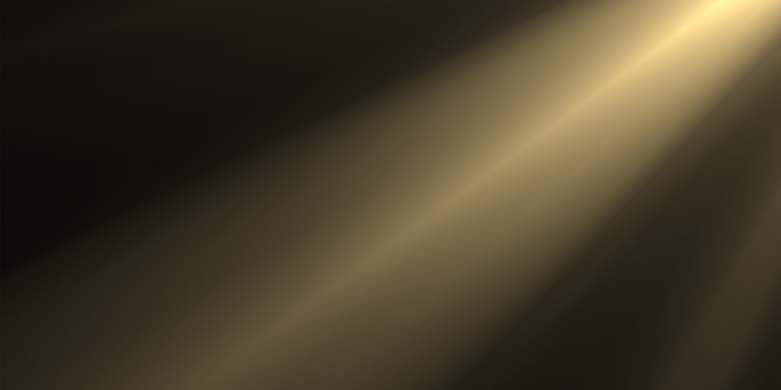 banner - indigenous spotlight