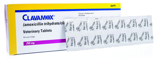 Clavamox