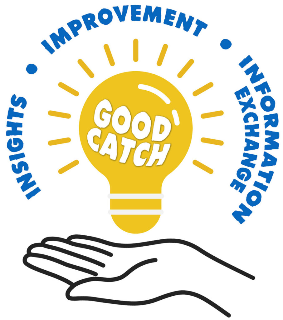 Good catch graphic. Insights, Improvements and Information exchange