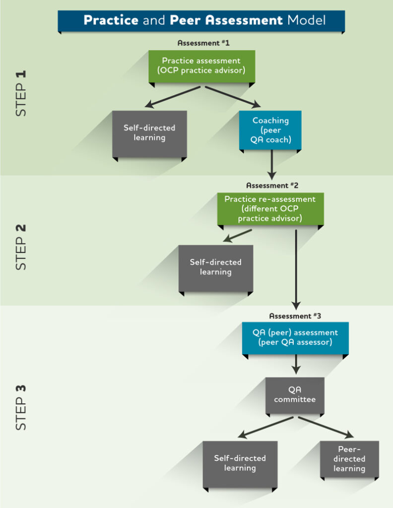 practice peer assessment model