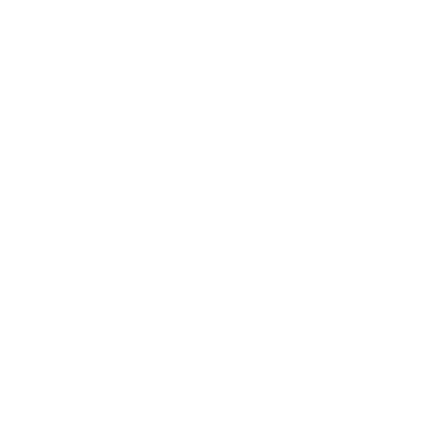 icon regulator